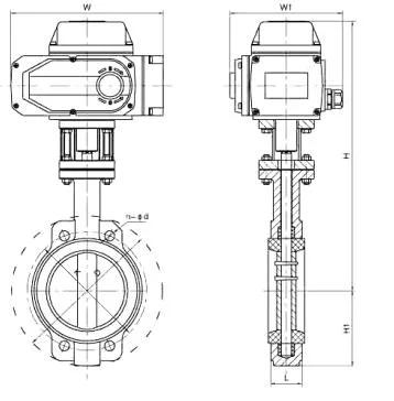 Fluorcentrale afdichting elektrische flensverbinding vlinderklep AC220V DIN-norm 1