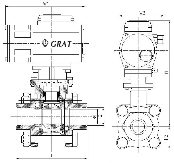Stainless Steel Mini Wafer Type Ball Valve IP67 draadverbinding 1
