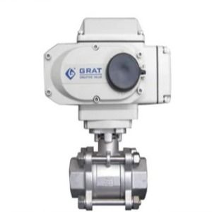 Elektrische besturingsklep van roestvrij staal SS316 BSP Inner thread DC24V