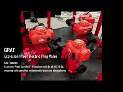 Explosiebestendige elektrische actuator-1