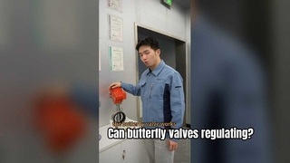 kan een vlinderbal de doorstroming regelen - explosieveilige klep voor gevaarlijke gebieden