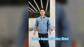 Waarom een ​​toeslag van 40% betalen om de actuator te kopen?
